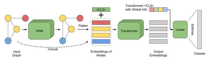 A Comprehensive Overview of Graph Transformers