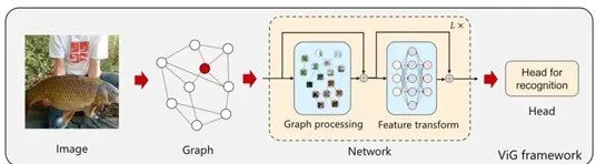 Graph Neural Networks (GNN) for Image Data Processing