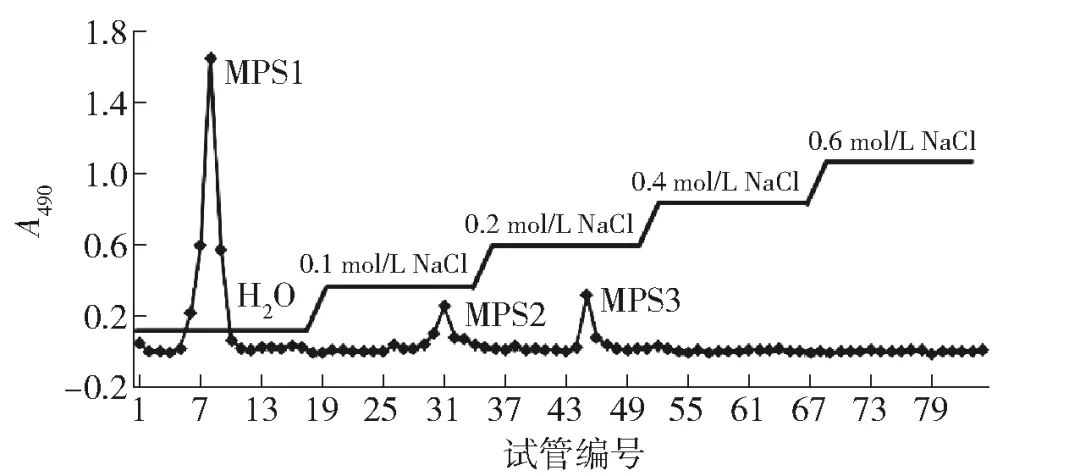 Study on Extraction Conditions and In Vitro Activity of Maca Polysaccharides