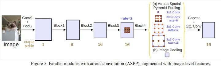 Deep Learning-Based Natural And Medical Image Segmentation: Network Structure Design