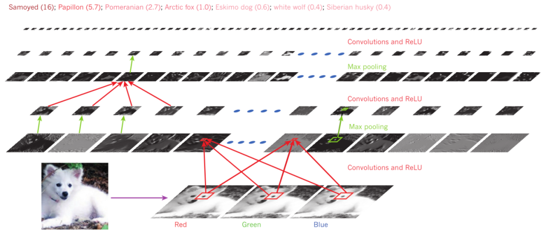 Decoding Deep Learning: Understanding Its Core Concepts