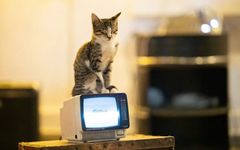 A Review of Computer Vision Development in the Last Decade and Future Directions