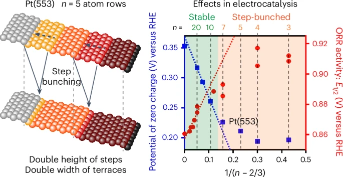 This Nature Catalysis Focuses on Electrocatalytic Active Site Structure!