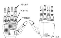 Conversion and Quantization of Multimodal Large Models for Robots
