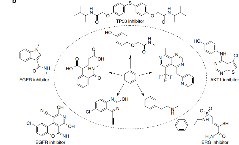 Conditional GAN Network and Gene Expression Features for Hit Compound Discovery