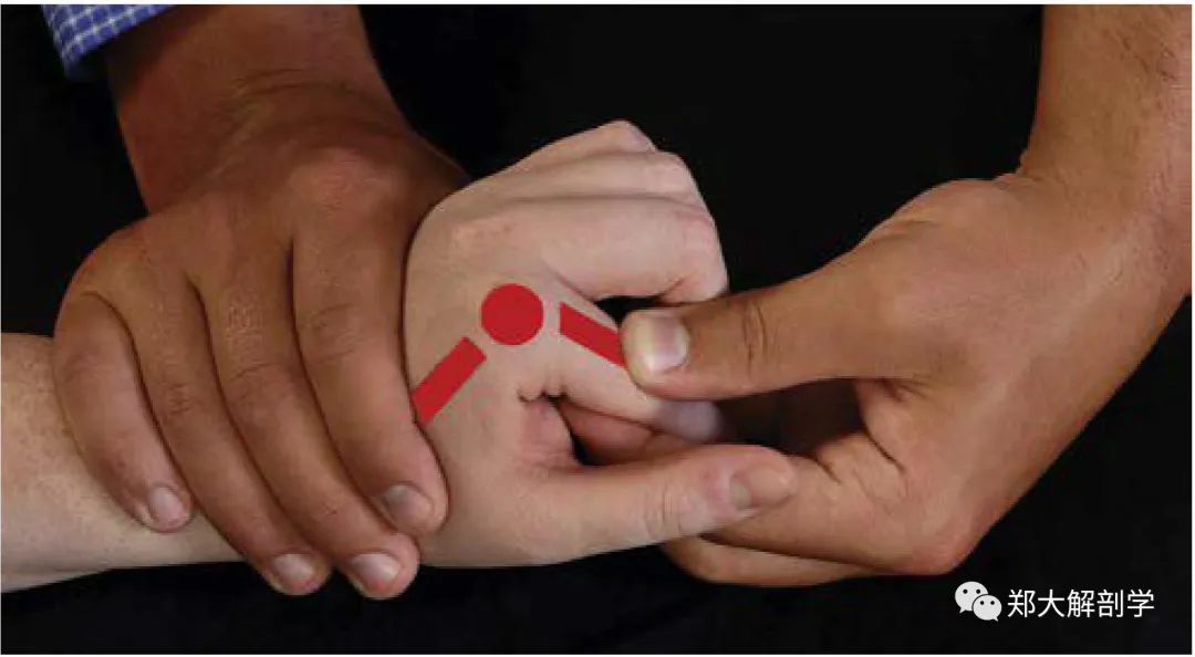MCP or PIP/DIP Joint Flexion Assessment