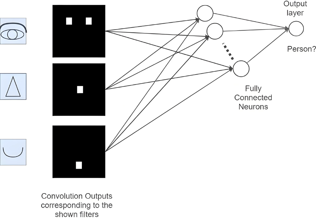 In-Depth Analysis of Convolutional Neural Networks (CNN)