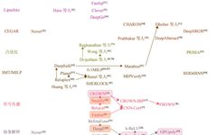 Overview of Robustness Verification for Feedforward and Recurrent Neural Networks