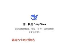 DeepSeek Simplified User Guide