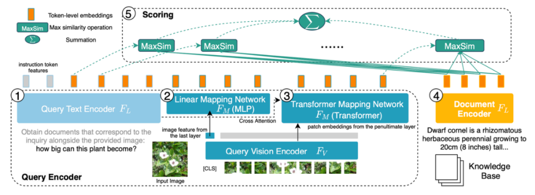 Cambridge Team Open Sources: Empowering Multimodal Large Model RAG Applications