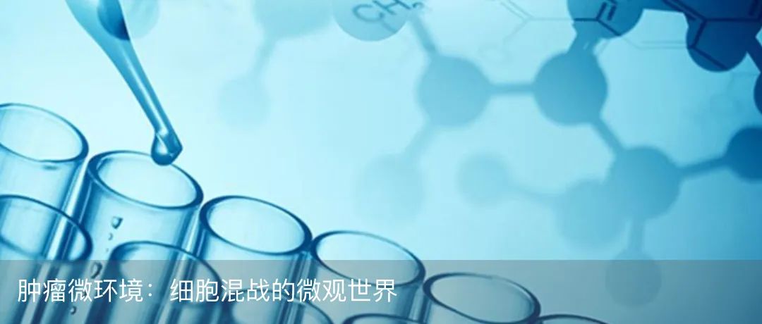 MDSC: The Tumor's Chaotic Collective