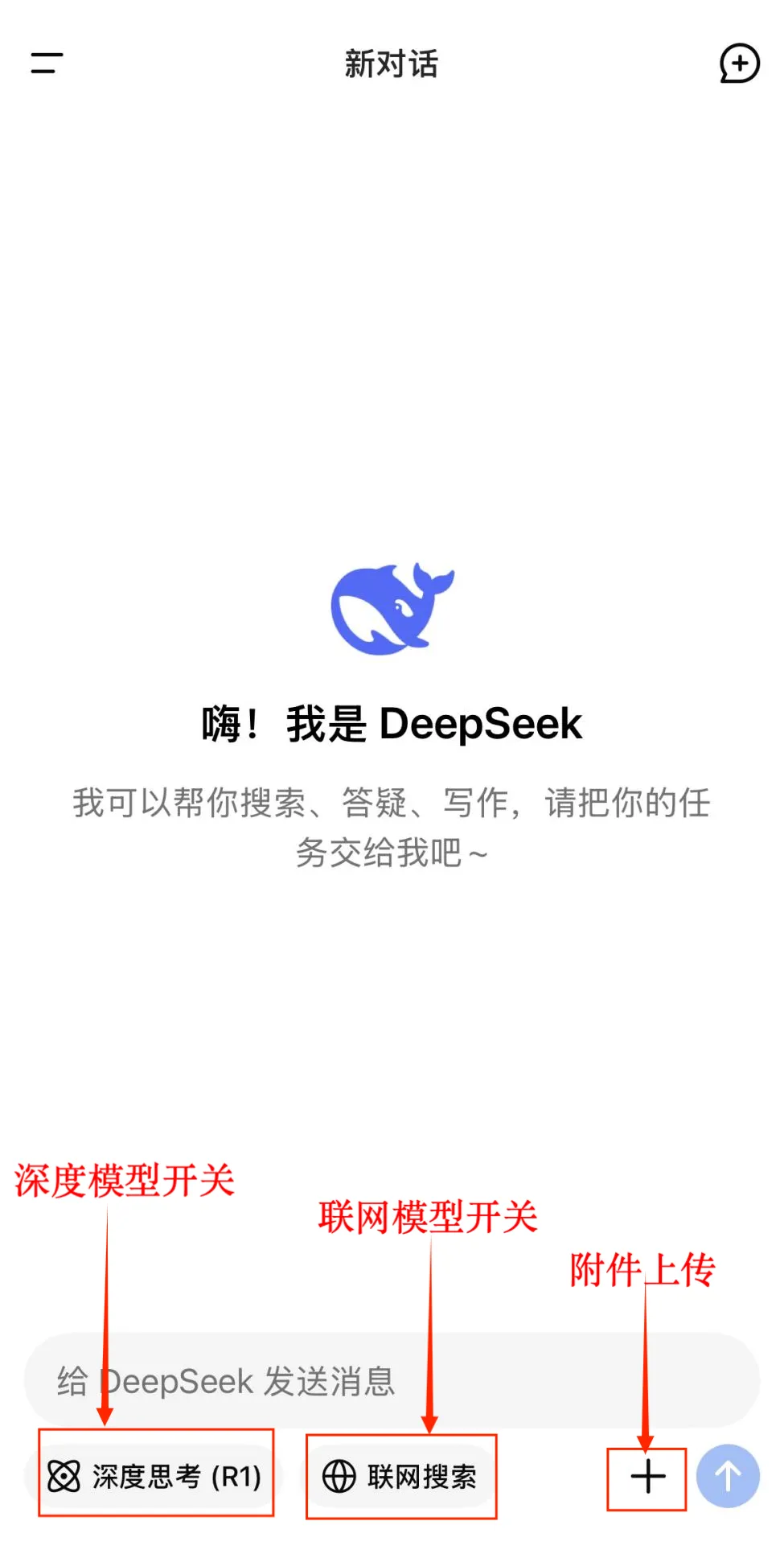 Comprehensive Guide to Using DeepSeek for Teachers