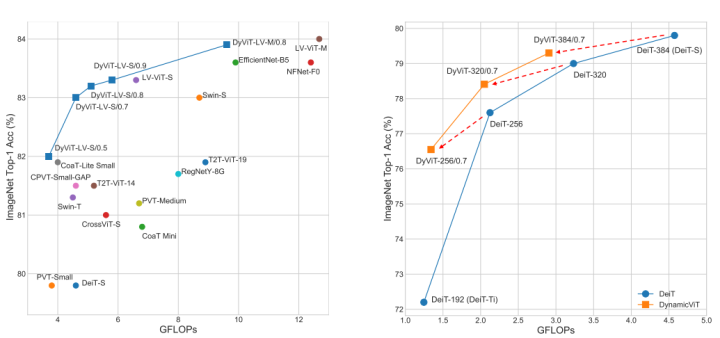 Fast and Effective Overview of Lightweight Transformers in Various Fields