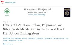 Effects of 1-MCP on Proline, Polyamine, and Nitric Oxide Metabolism in Postharvest Peach Fruits under Chilling Stress