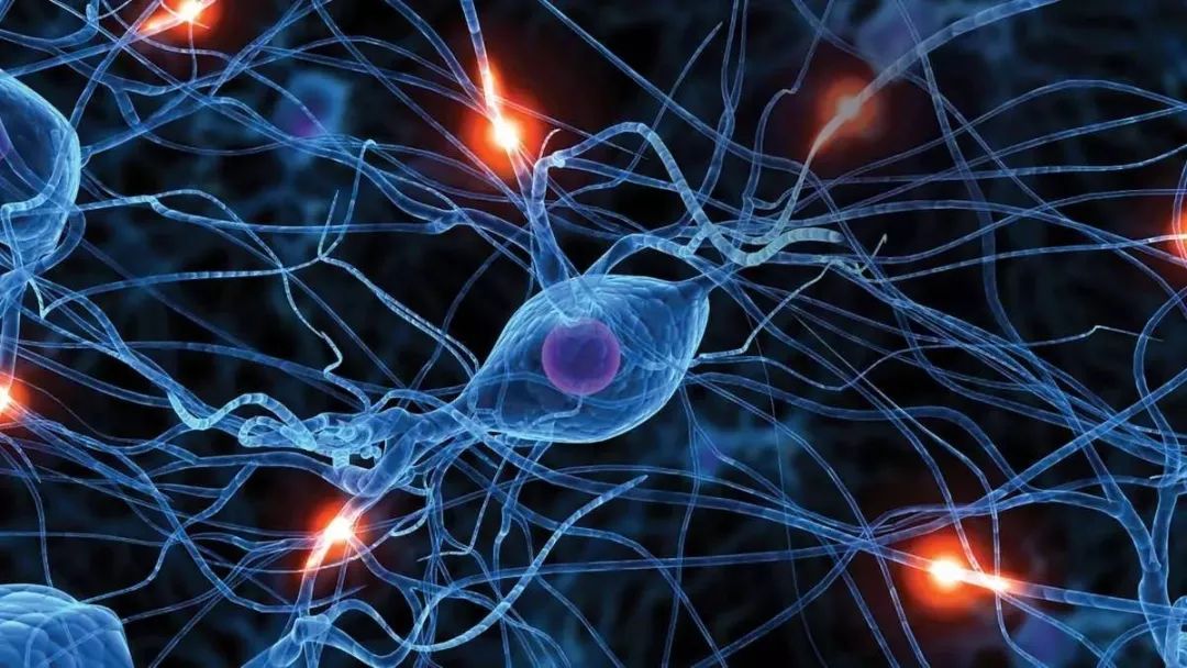 How Intelligent Voice Robots Communicate With You