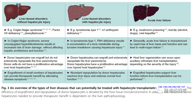 Organoids and Cell Transplantation: Future Directions