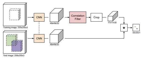 Essential Readings in Computer Vision: Tracking, Compression, Classification, and Recognition