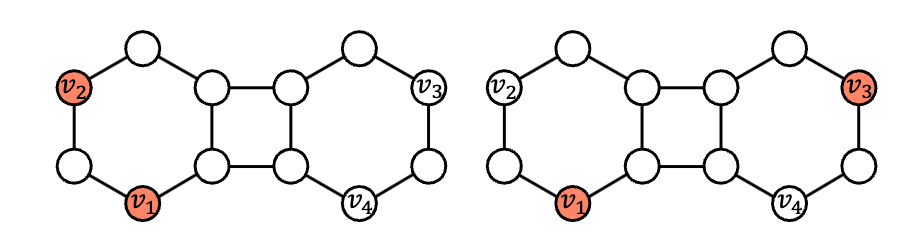 Foundation Models of Graphs and Geometric Deep Learning