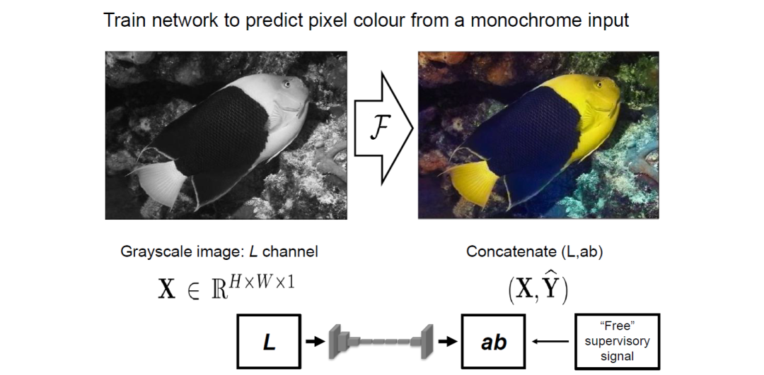 An Overview of Self-Supervised Learning and End-to-End Autonomous Driving