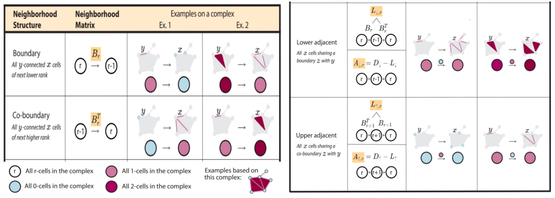 When Machine Learning Meets Topology: Topological Data Analysis and Topological Deep Learning