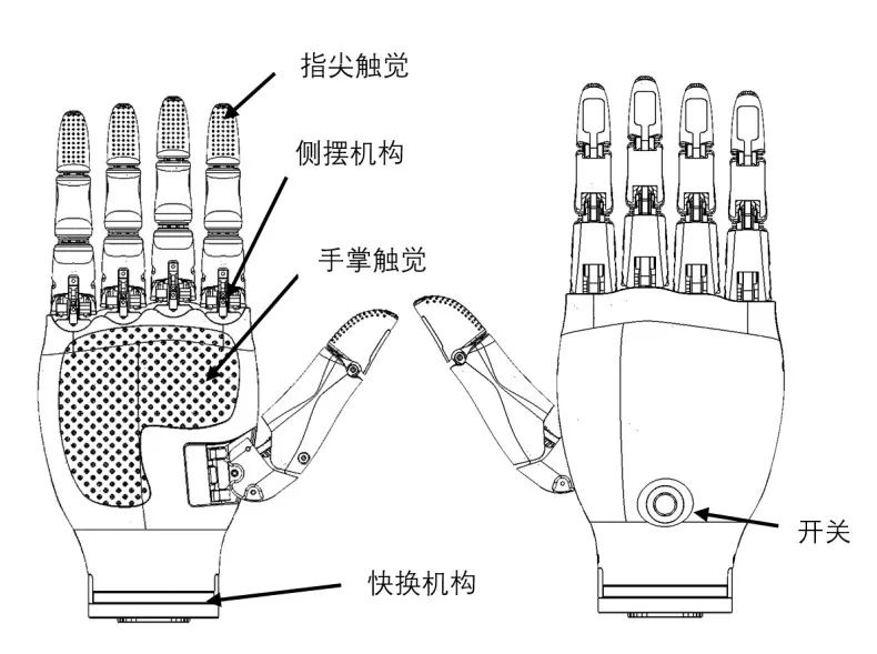 Conversion and Quantization of Multimodal Large Models for Robots