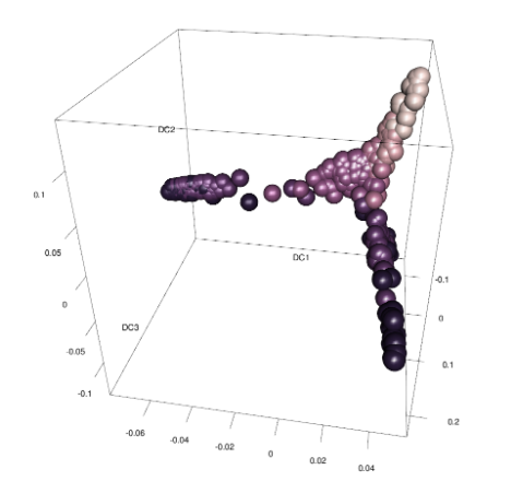 Single-Cell RNA-Seq Analysis: Diffusion Pseudotime Reconstruction of Single-Cell Lineage Branching