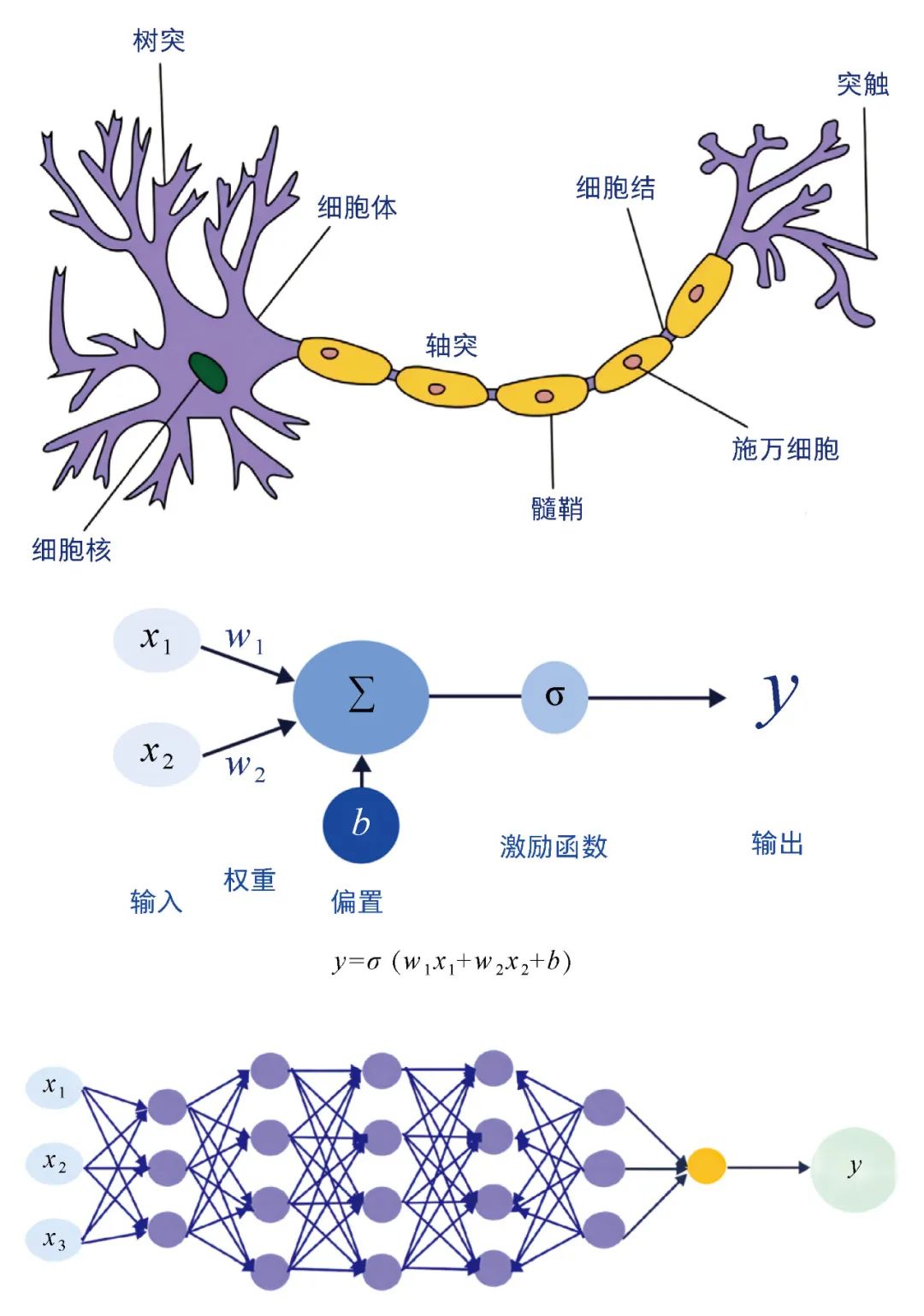 The Evolution of ChatGPT: From Basic Neurons to Multimodal Agents