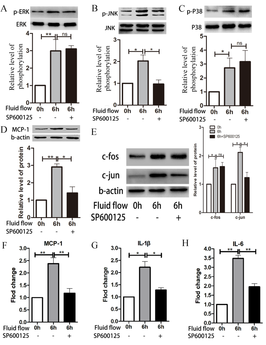 Impinging Flow Induces MCP-1 Expression in Endothelial Cells via JNK/c-Jun/p38/c-Fos Pathway