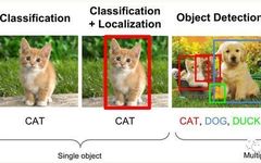Understanding Object Detection in Computer Vision