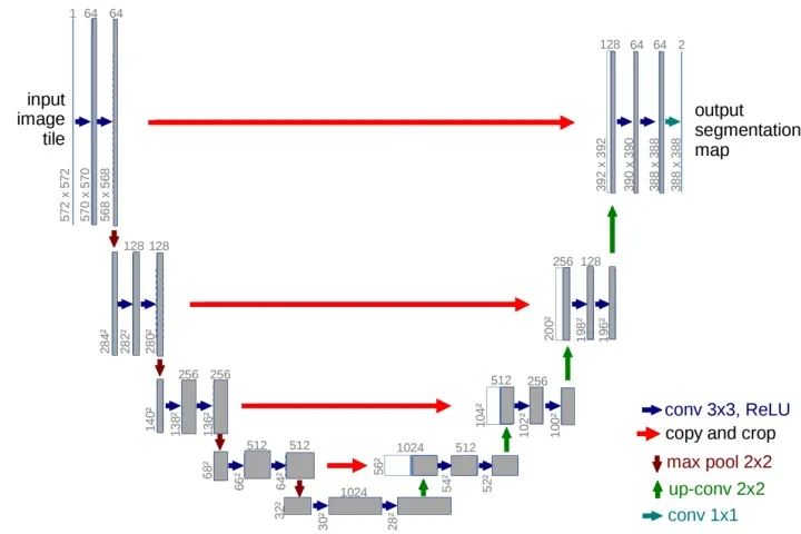 Deep Learning-Based Natural And Medical Image Segmentation: Network Structure Design