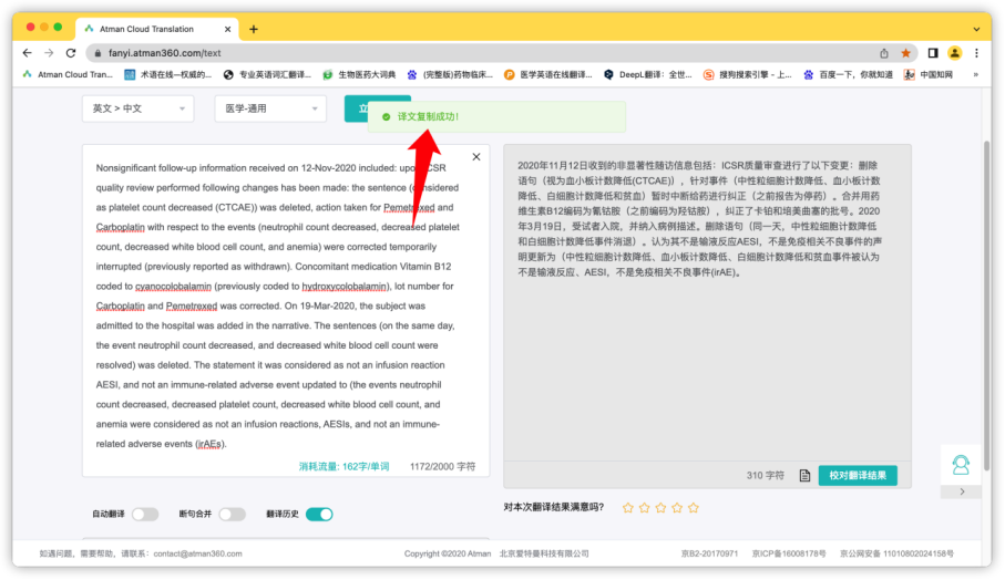 ATMAN: The Translation Tool Focused on the Pharmaceutical Field