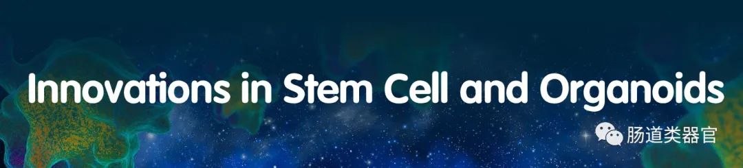 Organoids and Cell Transplantation: Future Directions