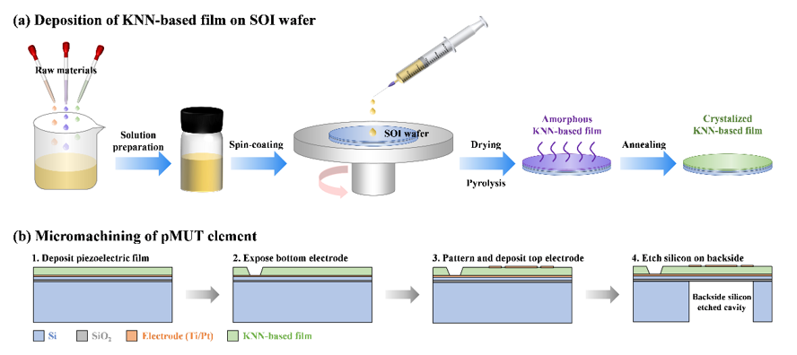 Application of Lead-Free Ferroelectric Films in pMUT