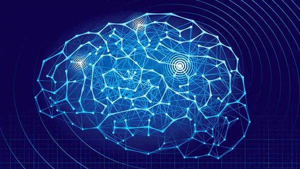 Differences Between CNN, RNN, and DNN Network Structures