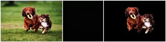 Differences Between Image Processing, Computer Vision, and AI