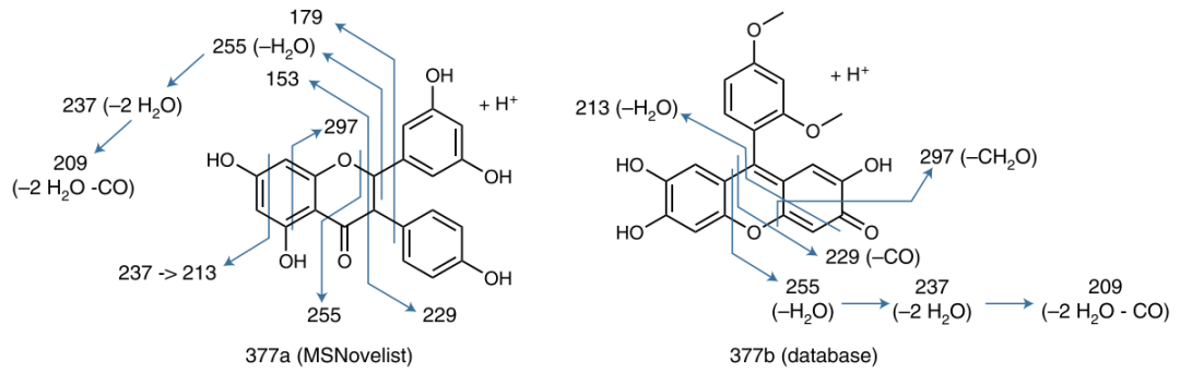 MSNovelist: A New Method for Generating Small Molecule Structures from Mass Spectra