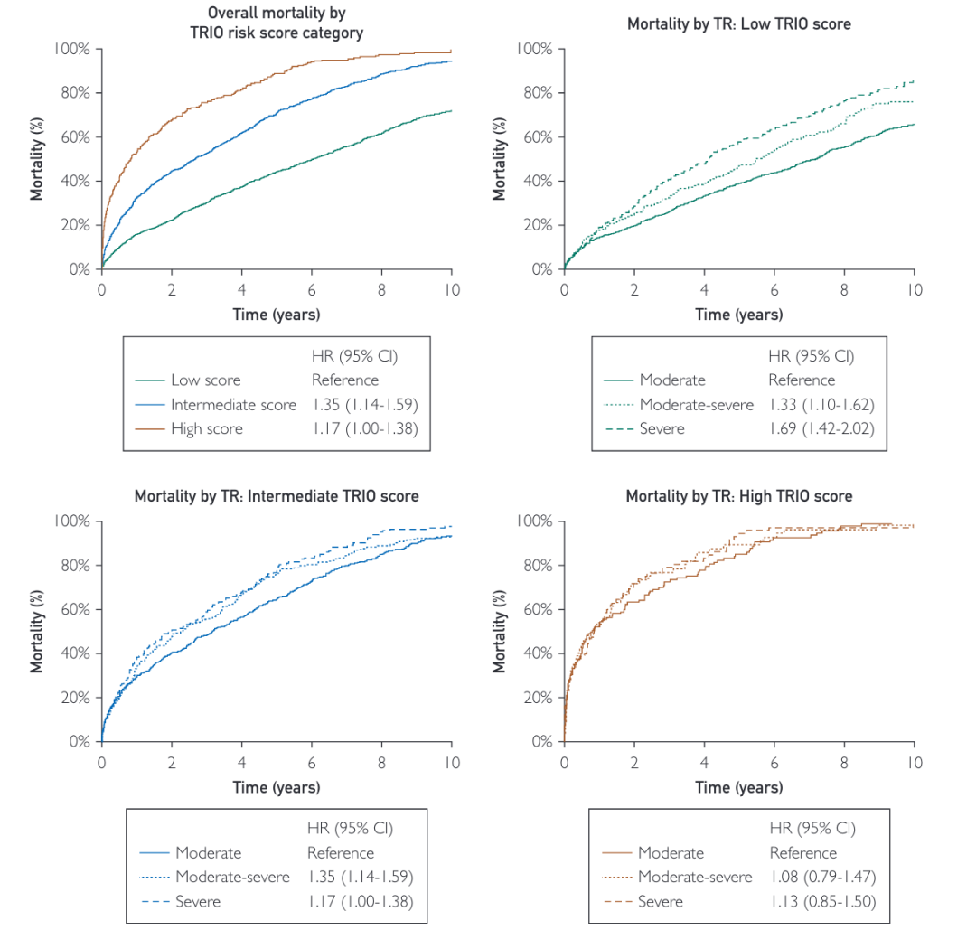 Research Approach: Building and Validating the TRIO Scoring Model