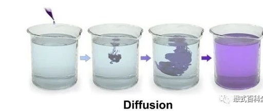 Discussion on the Translation of Diffusion Weighted Imaging (DWI)