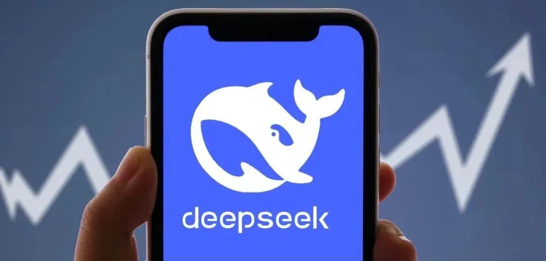 What Can You Do After Integrating DeepSeek?