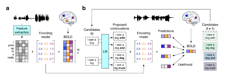 Decoding Natural Language from Brain Activity: Tasks and Cutting-Edge Methods