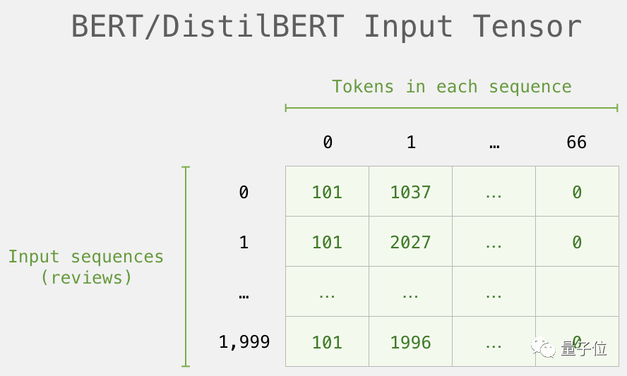 Beginner's Guide to BERT: From Theory to Practice