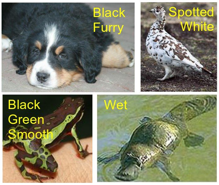 Fundamental Concepts of Computer Vision