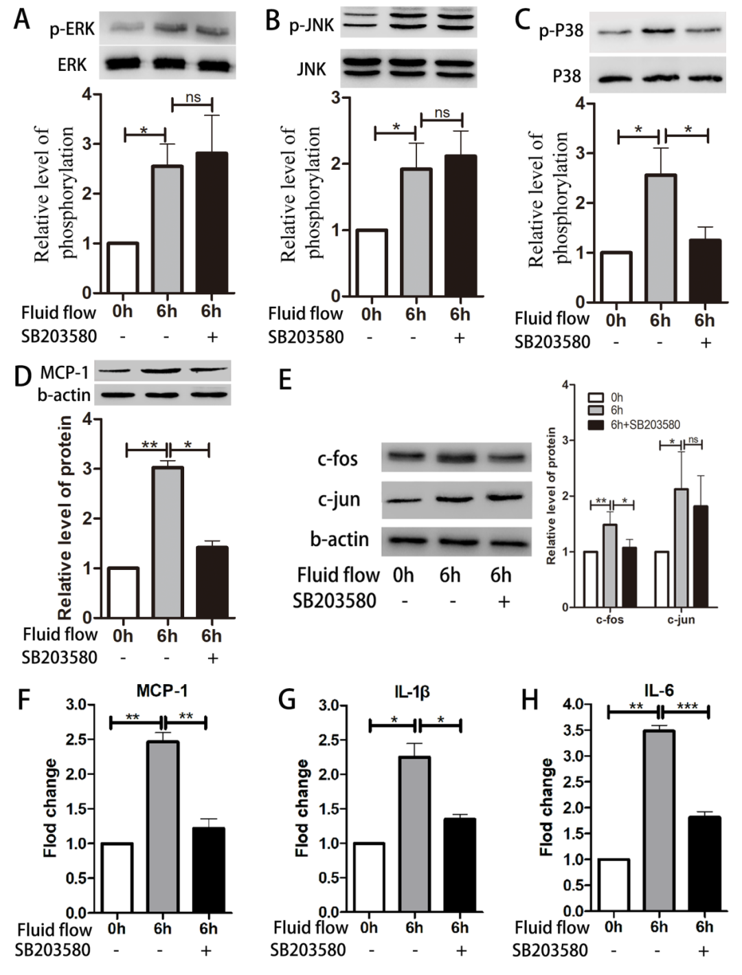 Impinging Flow Induces MCP-1 Expression in Endothelial Cells via JNK/c-Jun/p38/c-Fos Pathway