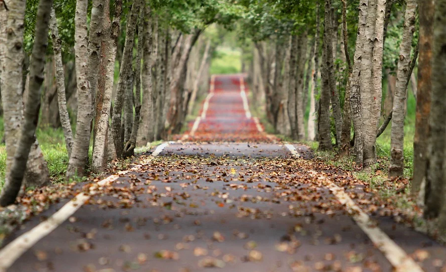 NLP Technique: Understanding the Levels of Integration