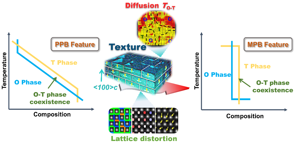 Innovative Diffusion-Type PPB Interface in KNN Piezoelectric Ceramics