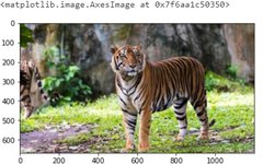 Introduction to Basic Tasks in Computer Vision