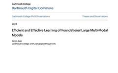 Efficient and Effective Learning of Large Multimodal Models