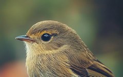 Midjourney: A Guide to Photography Command Keywords
