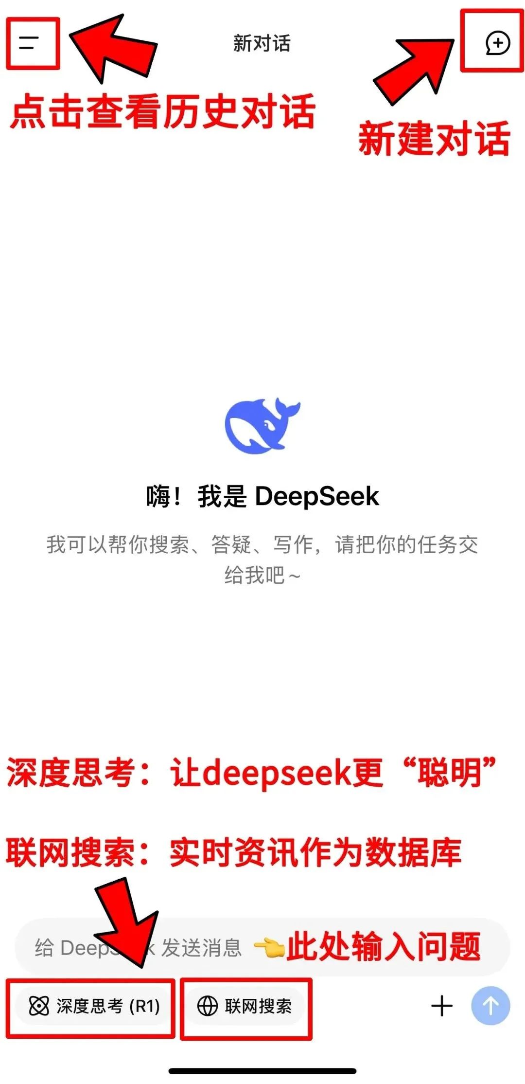 Mastering DeepSeek: A Comprehensive Guide for Beginners