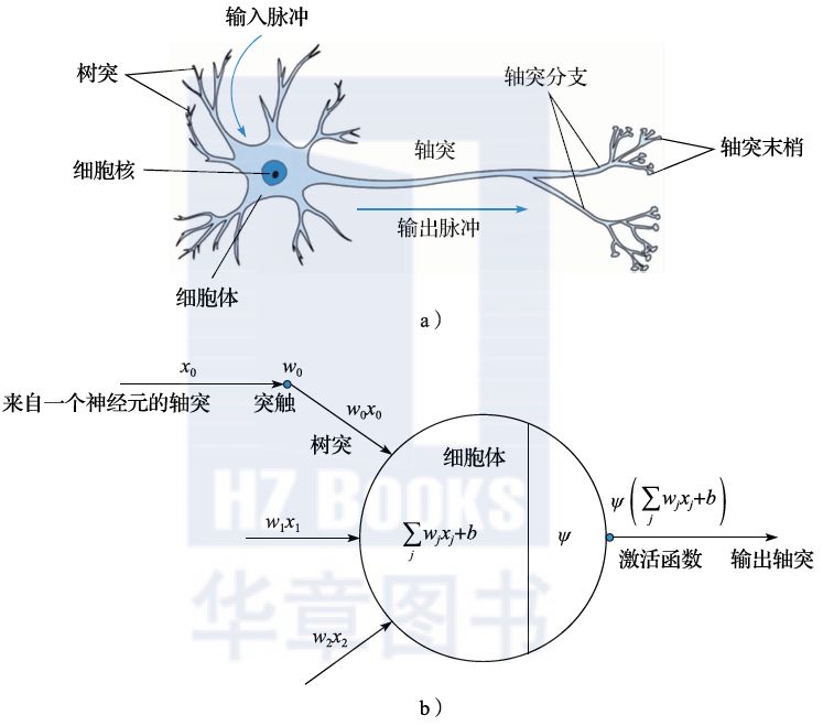Understanding Common Machine Learning Models